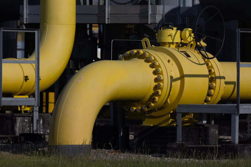 Des eurodeputes s'opposent au classement du nucleaire et du gaz comme energies "durables"