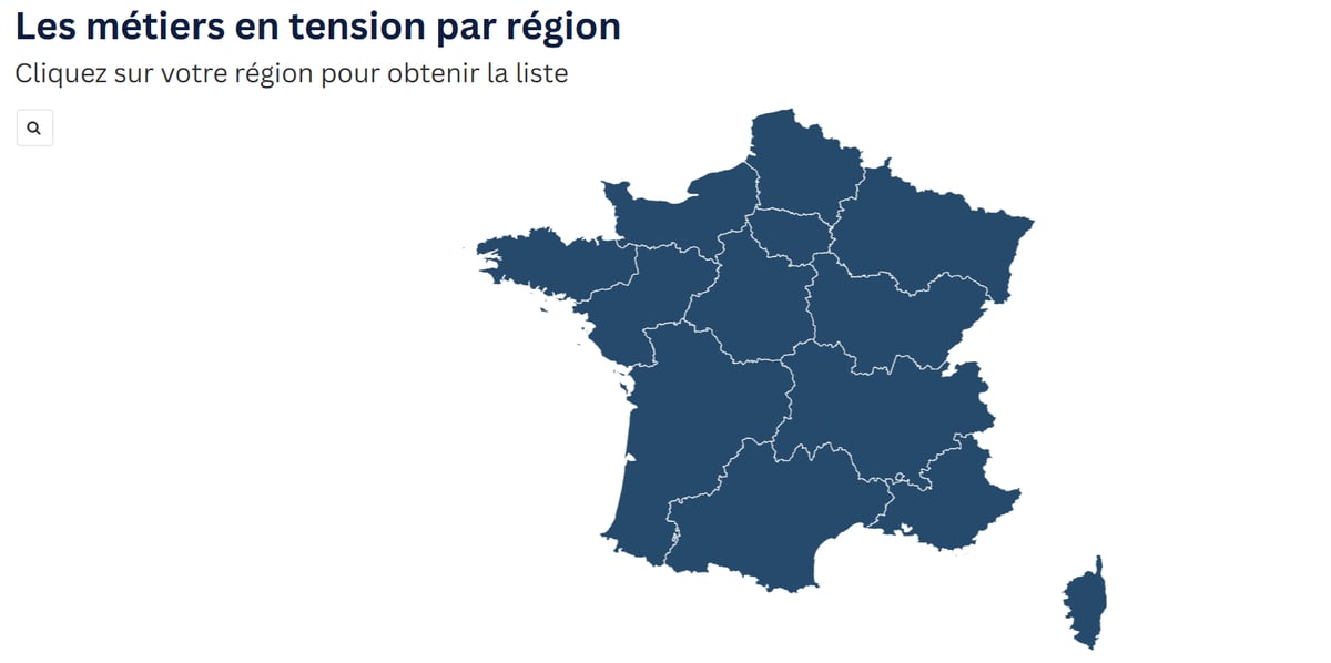 Région par région, la liste énumère environ 80 métiers en manque de main-d’œuvre et doit permettre aux travailleurs étrangers de prétendre à un titre de séjour.