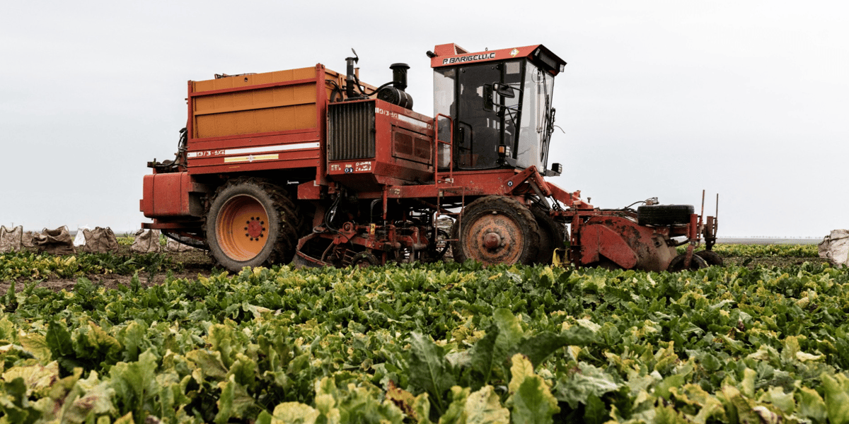 Dans un monde vieillissant qui compte de moins en moins de chefs d'exploitation, 60% des candidats à l'installation en agriculture sont non issus du monde agricole et n'ont donc ni terre ni capital matériel, selon les Chambres d'agriculture.