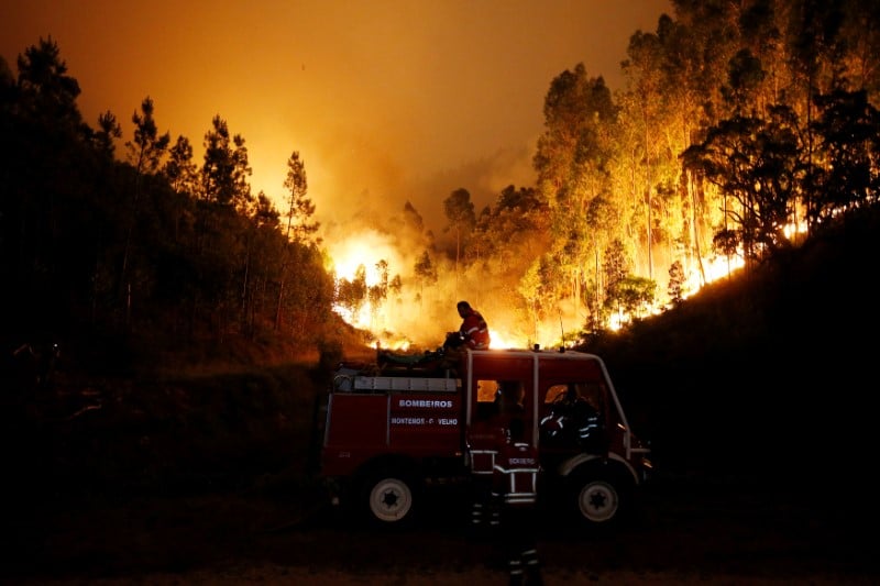 Pres de 60 morts dans le feu de foret au portugal