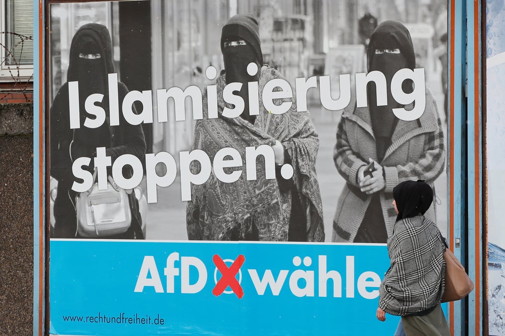 Plus de deputes afd issus de l'immigration que pour merkel