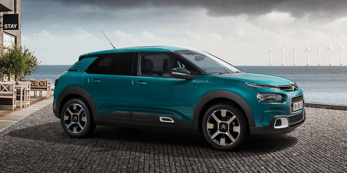 C4 Cactus