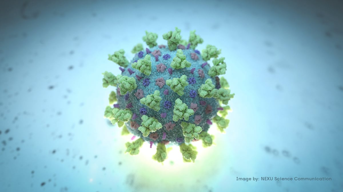 Coronavirus: resultats positifs pour le traitement par anticorps d'astrazeneca