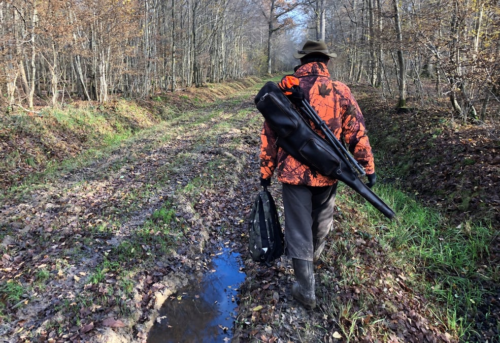 Un chasseur porte son fusil pendant une partie de chasse dans la foret de ferrieres, a pontcarre