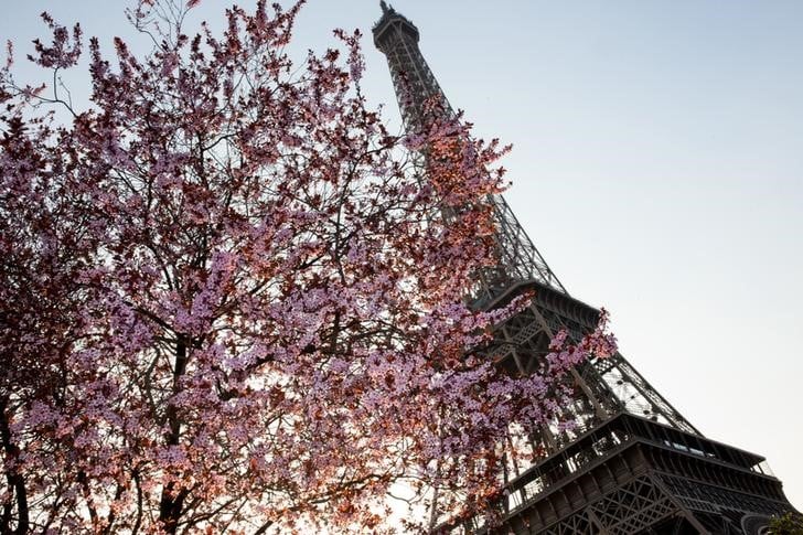 Paris officiellement candidate aux jo de 2024