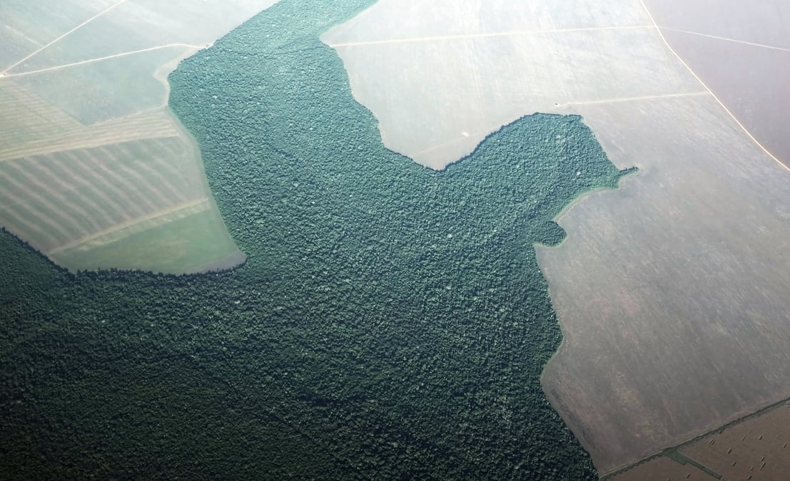 Le bresil ne croit pas a un boycott pour cause de deforestation