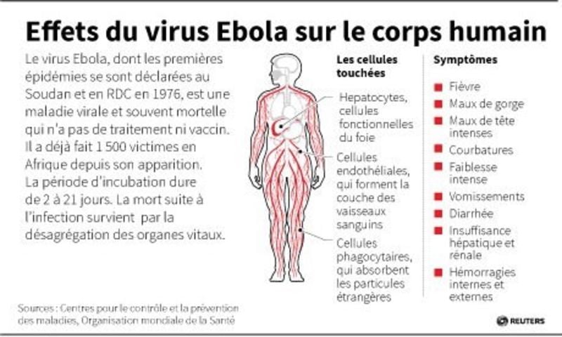 Premiers cas mortels de fièvre Ebola en Sierra Leone