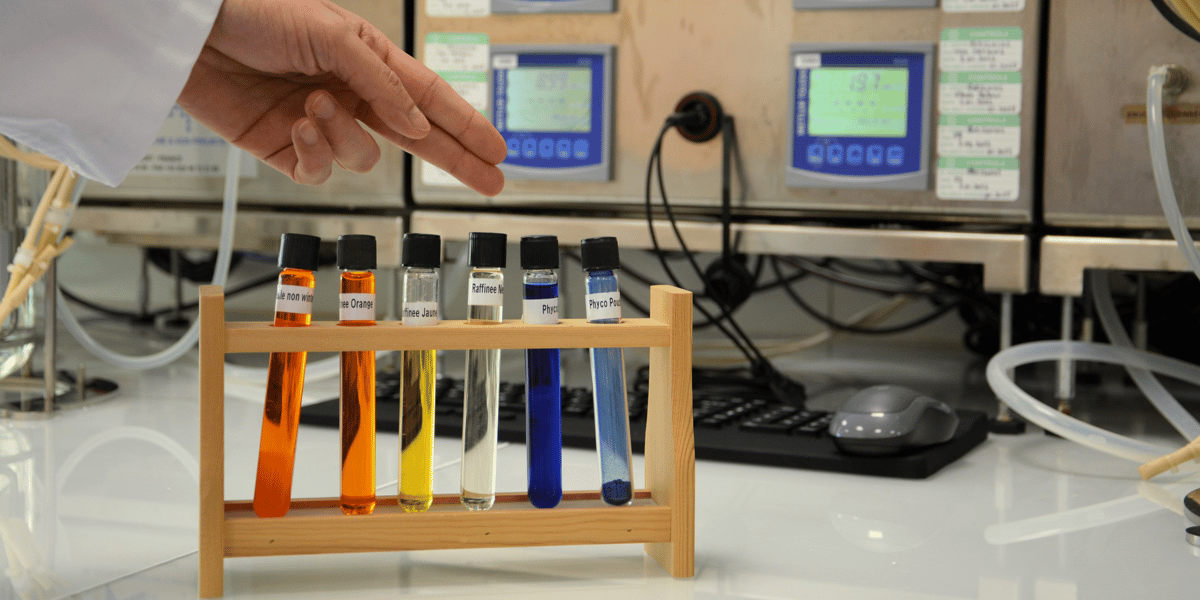 Parmi leurs diverses propriétés, certaines microalgues disposent d'un fort pouvoir colorant.