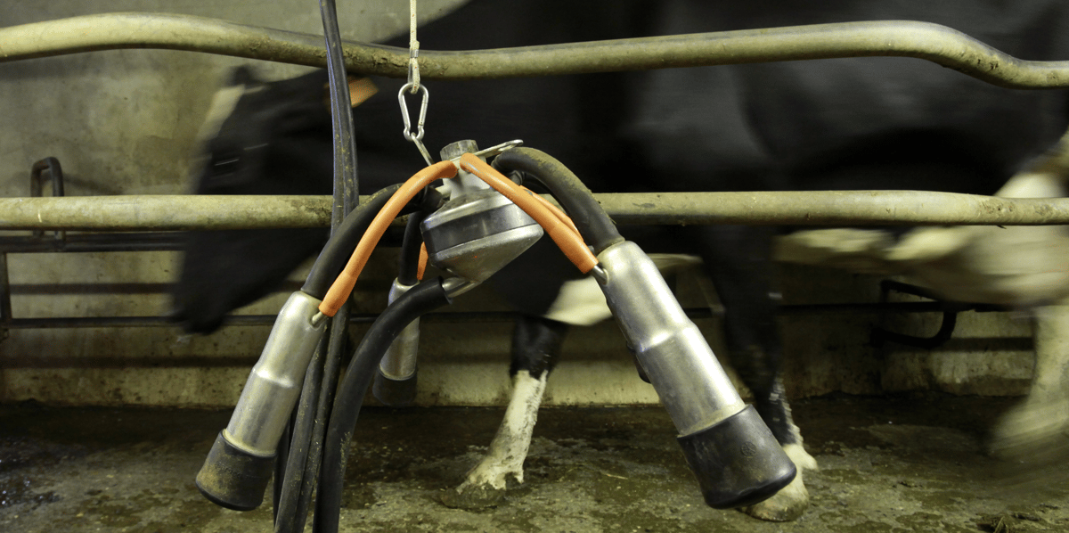 Au moins 15 pays ont formellement demandé à Bruxelles de relever de 20.000 à 50.000 euros (par exploitation, sur trois ans) le plafond d'aides baptisées « de minimis » - Photo d'illustration.
