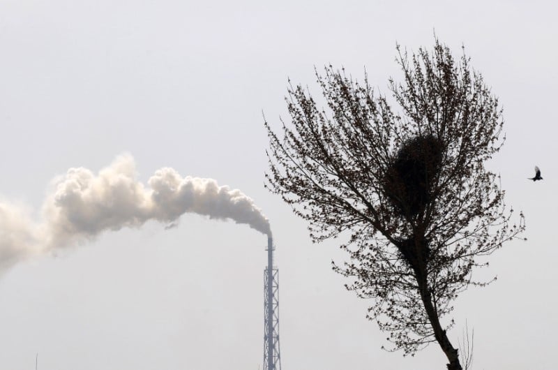 Climat: appel en faveur de l'objectif "net-zero" en 2050