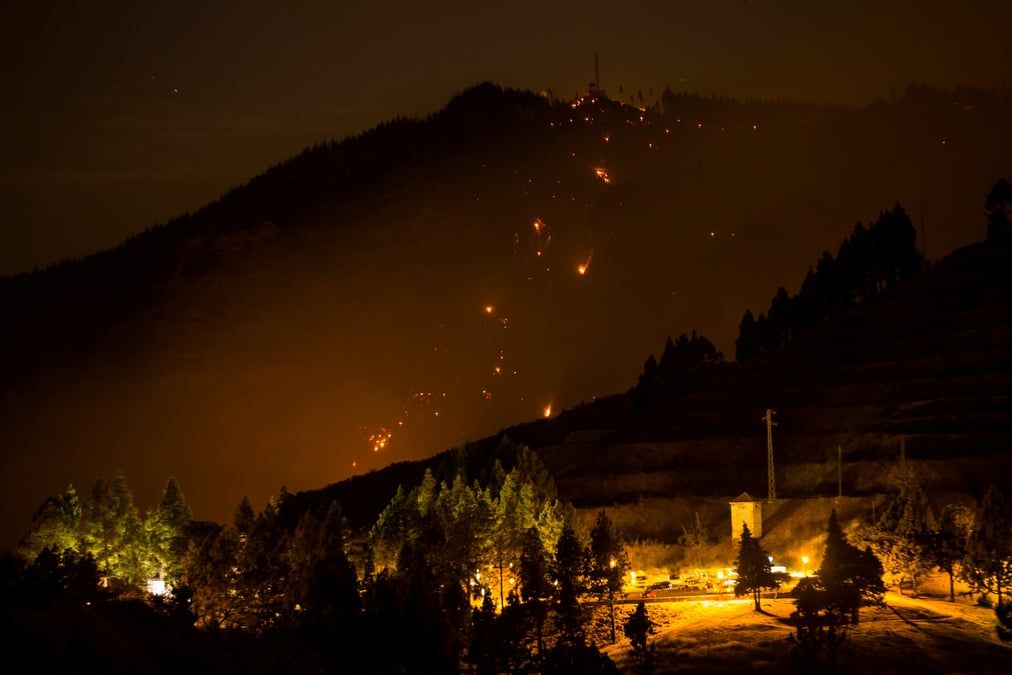 Un feu de foret entraine l'evacuation partielle d'une localite des canaries