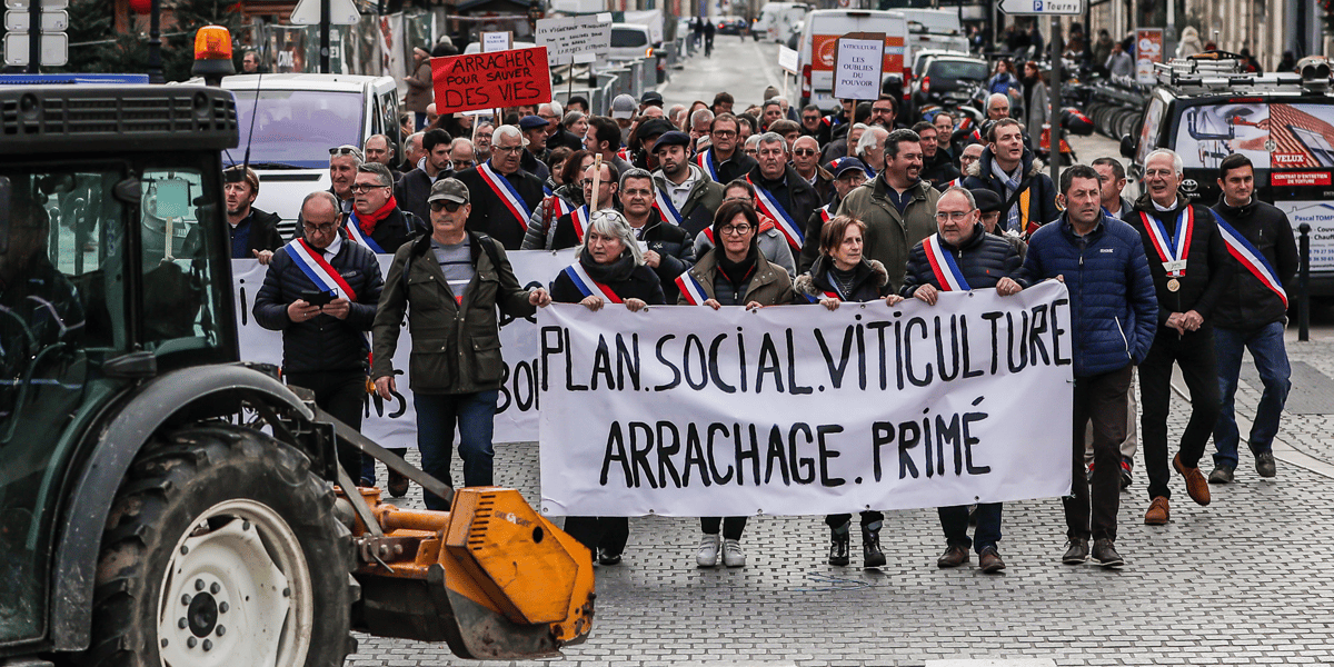 Manifestation vignerons Bordeaux 6 décembre 2022