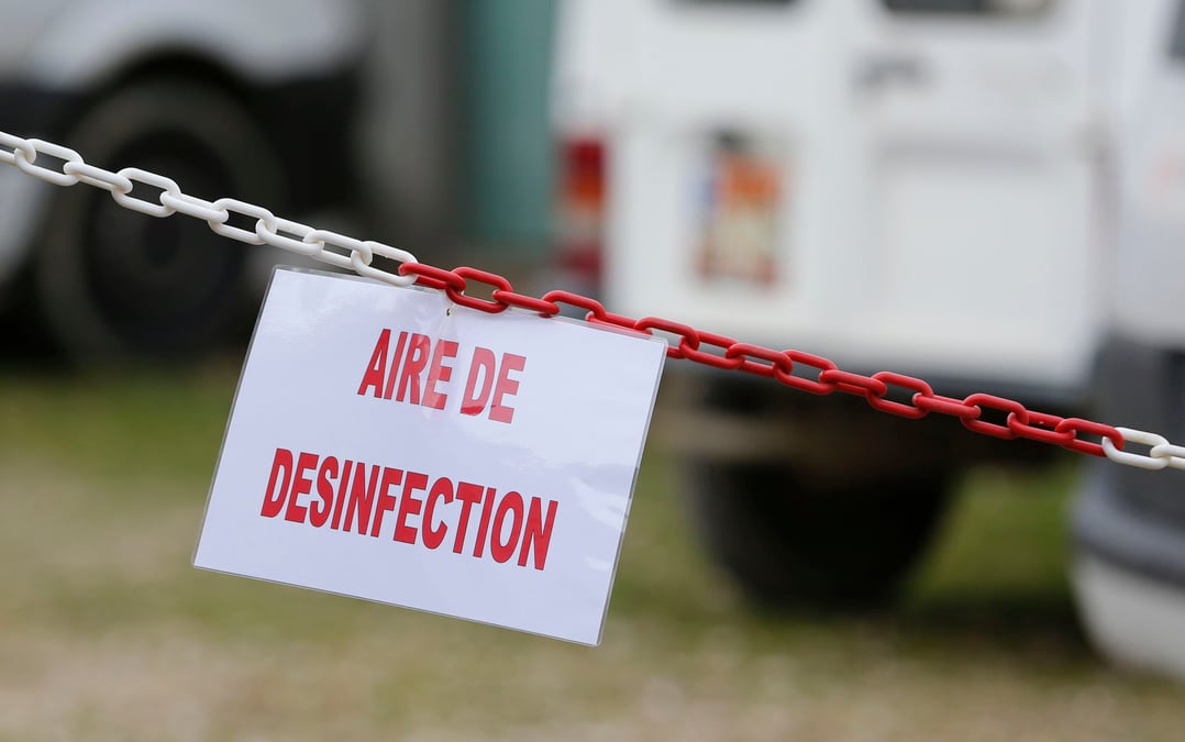 Un foyer de grippe aviaire detecte dans le departement du nord