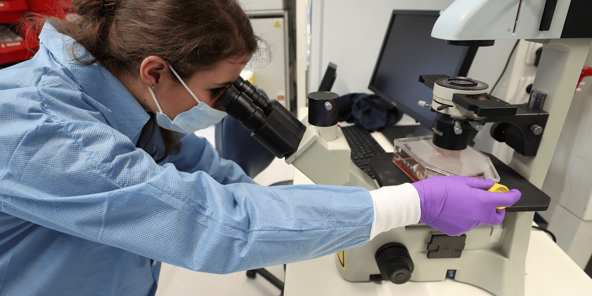 Des chercheurs travaillent à trouver un traitement contre le nouveau coronavirus/Covid-19