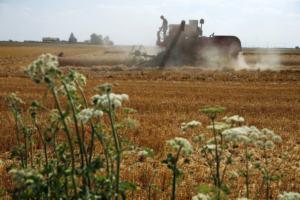La france veut faucher les zones protegees pour aider les agriculteurs