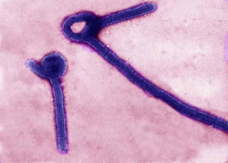 La fièvre Ebola continue de se propager en Sierra Leone