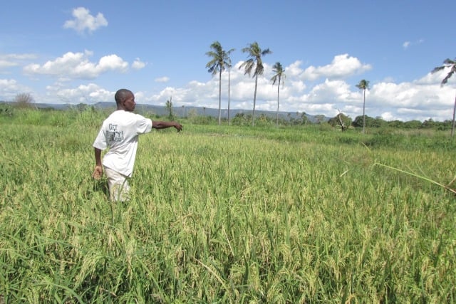 tanzanie fermier agriculture foncier