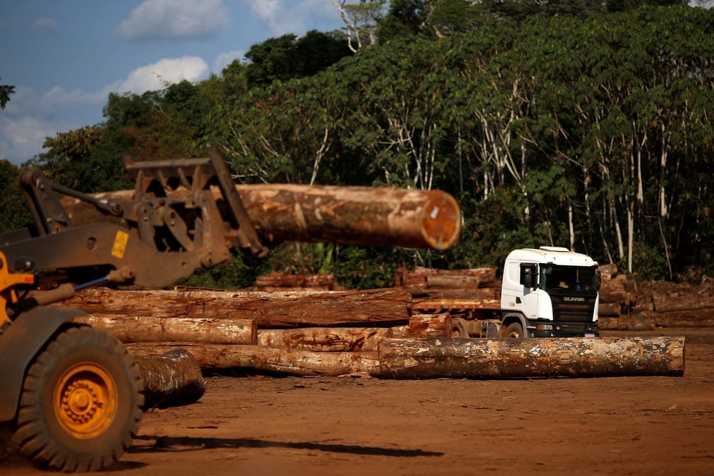 Les pertes forestieres en 2021 menacent les objectifs climatiques mondiaux, selon un rapport