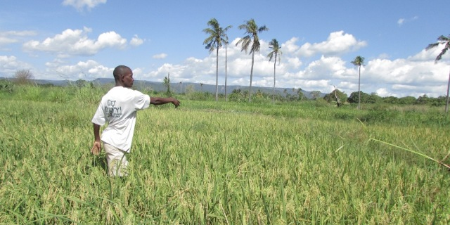 tanzanie fermier agriculture foncier