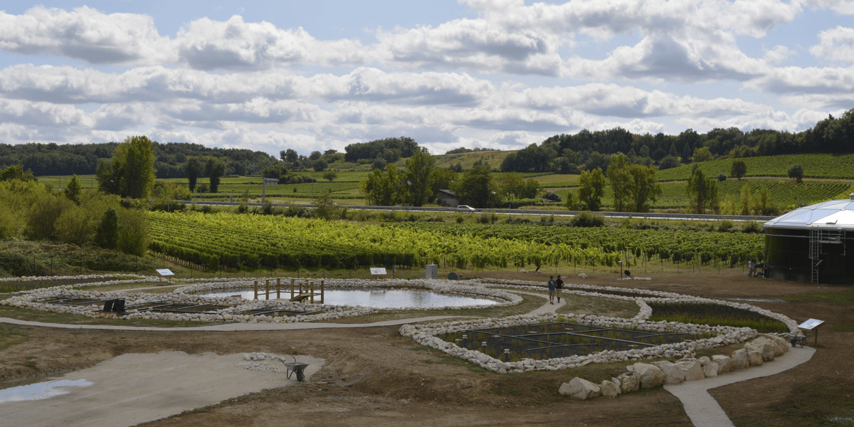 Vignerons de Buzet