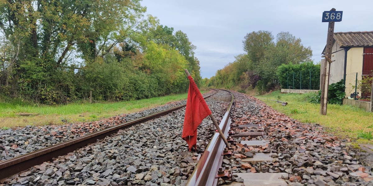 La ligne Niort-Saintes, particulièrement dégradée, fait l'objet d'important travaux de régénération, ici à Villeneuve-la-Comtesse fin 2023.