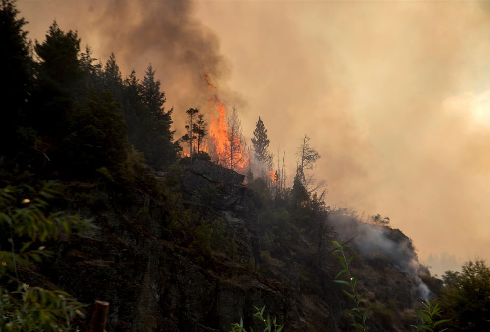 Les incendies font rage en patagonie argentine