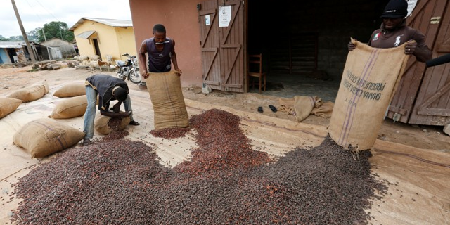 Ghana cacao