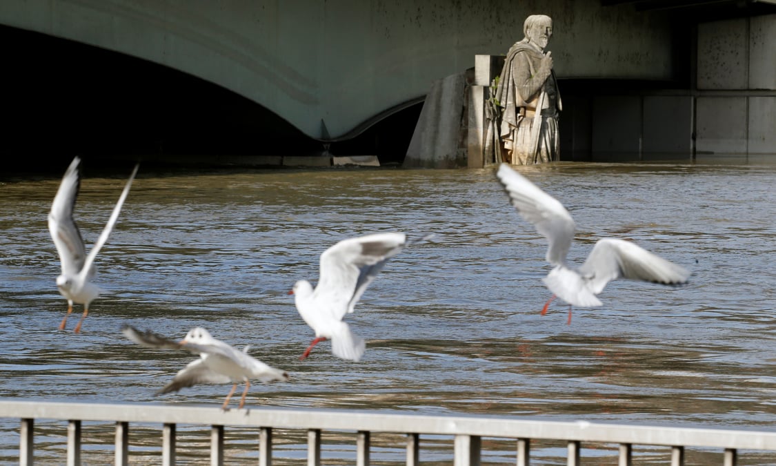 Crues: la seine ne devrait pas depasser son niveau de 2016