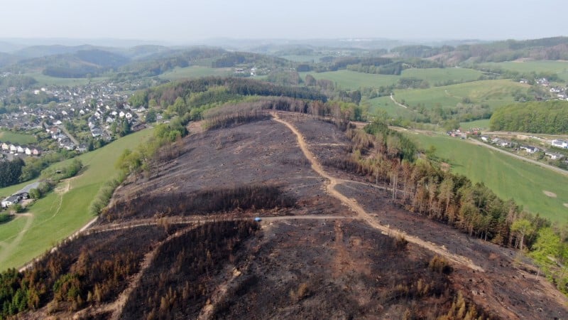 Bruxelles redoute une multiplication des feux de forets cet ete