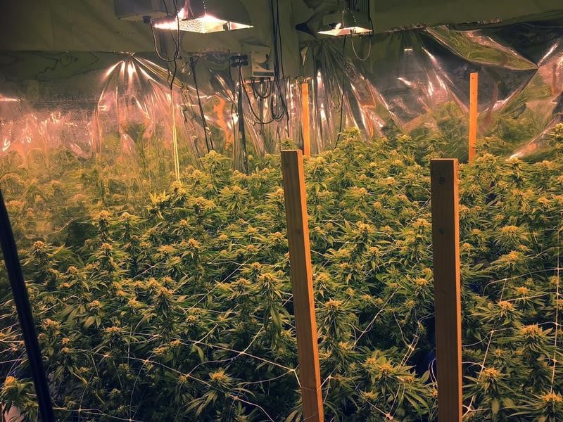 Saisie d'1,7 tonne de cannabis a la frontiere franco-espagnole