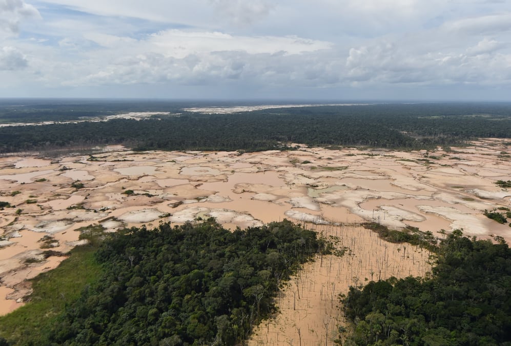 La déforestation de l'Amazonie s'est accélérée de façon drastique depuis le début de l'année 2019.