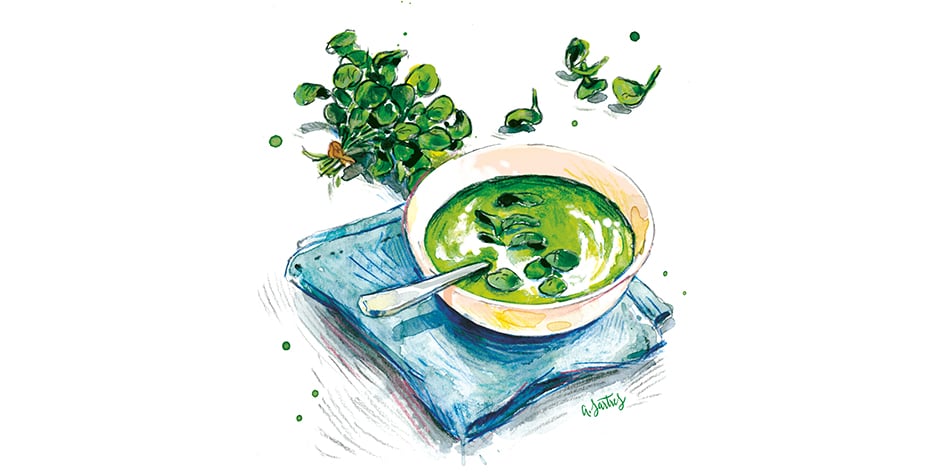 Velouté de cresson