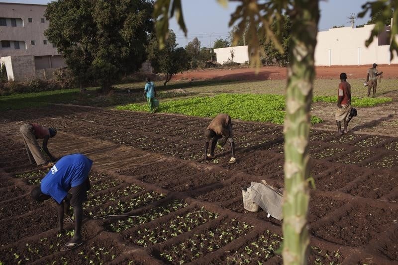 L'Union européenne reprend le versement de son aide au Mali