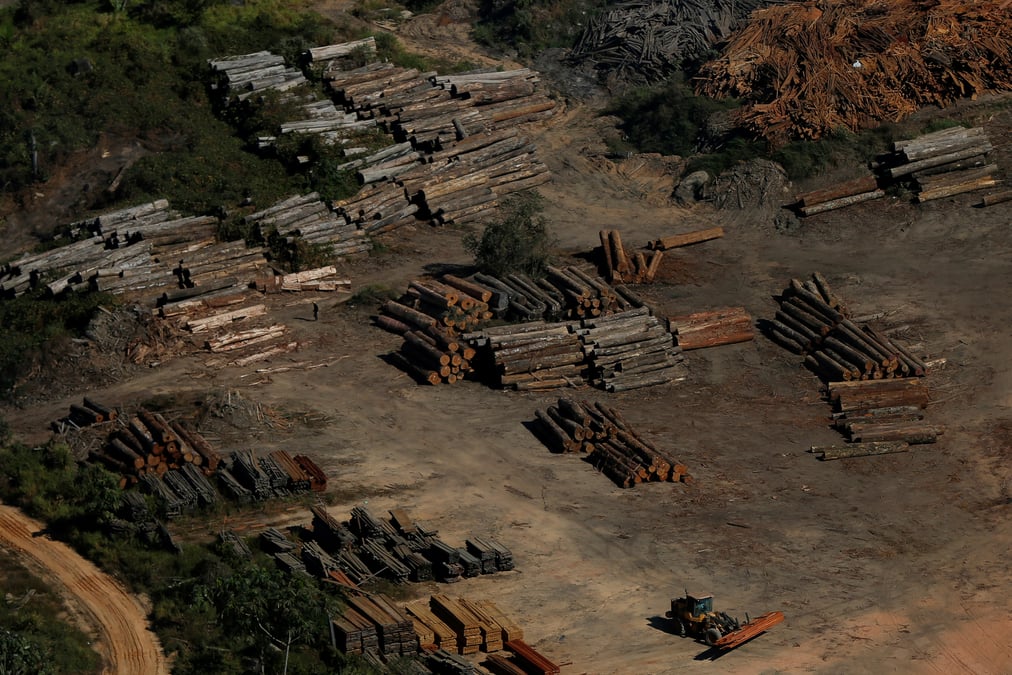 La deforestation s'est acceleree en mai en amazonie