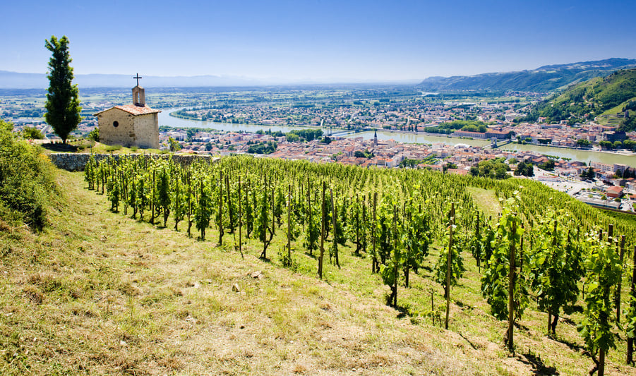 Vignoble de l'Hermitage