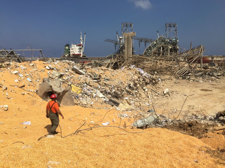 L'oms lance un appel de fonds de 15 millions de dollars pour beyrouth