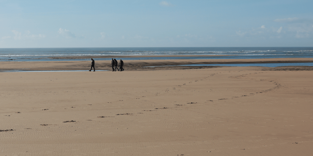 L'interdiction concerne « la pêche professionnelle, le ramassage, le transport, le stockage et la commercialisation des coquillages », détaille la préfecture.