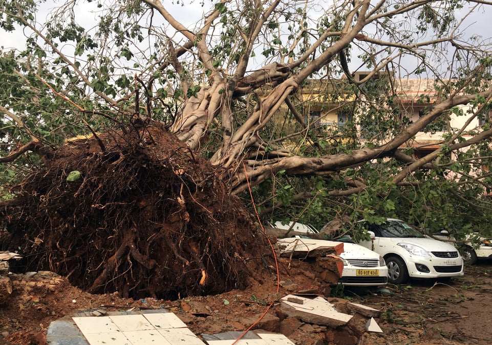 Le cyclone fani a fait 12 morts dans le nord-est de l'inde