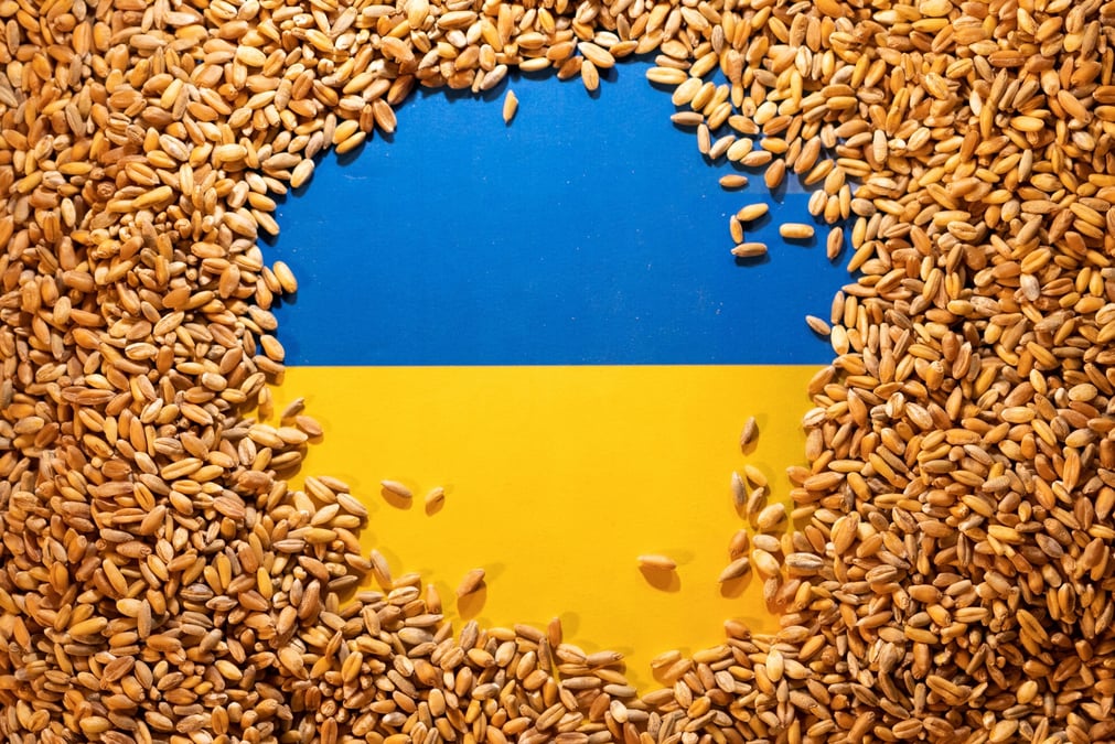 Le drapeau ukrainien entoure de cereales