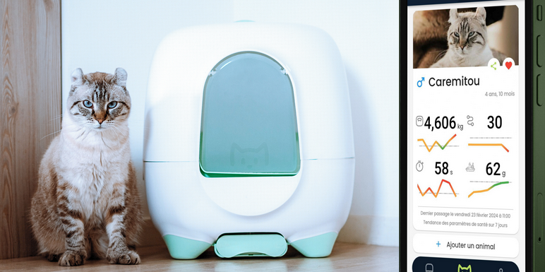 La litière santé connectée Caremitou, développée en collaboration avec l'école vétérinaire de Toulouse, promet de détecter trois maladies chroniques du chat.