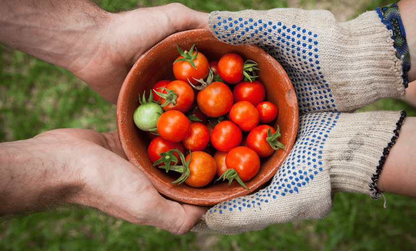 Bio agriculture