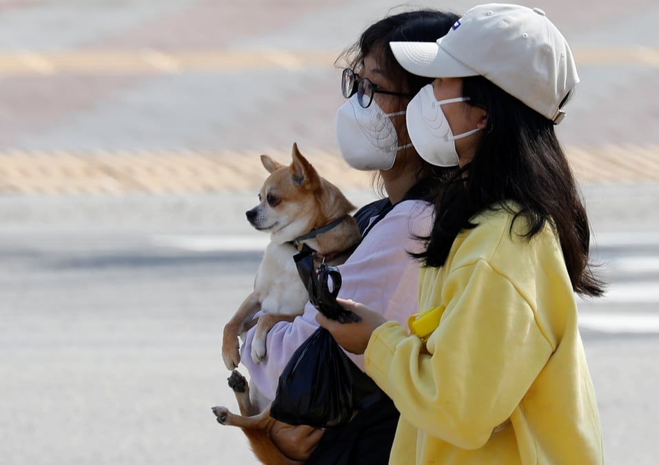 Coronavirus: 93 nouveaux cas en coree du sud, qui appelle a la cooperation