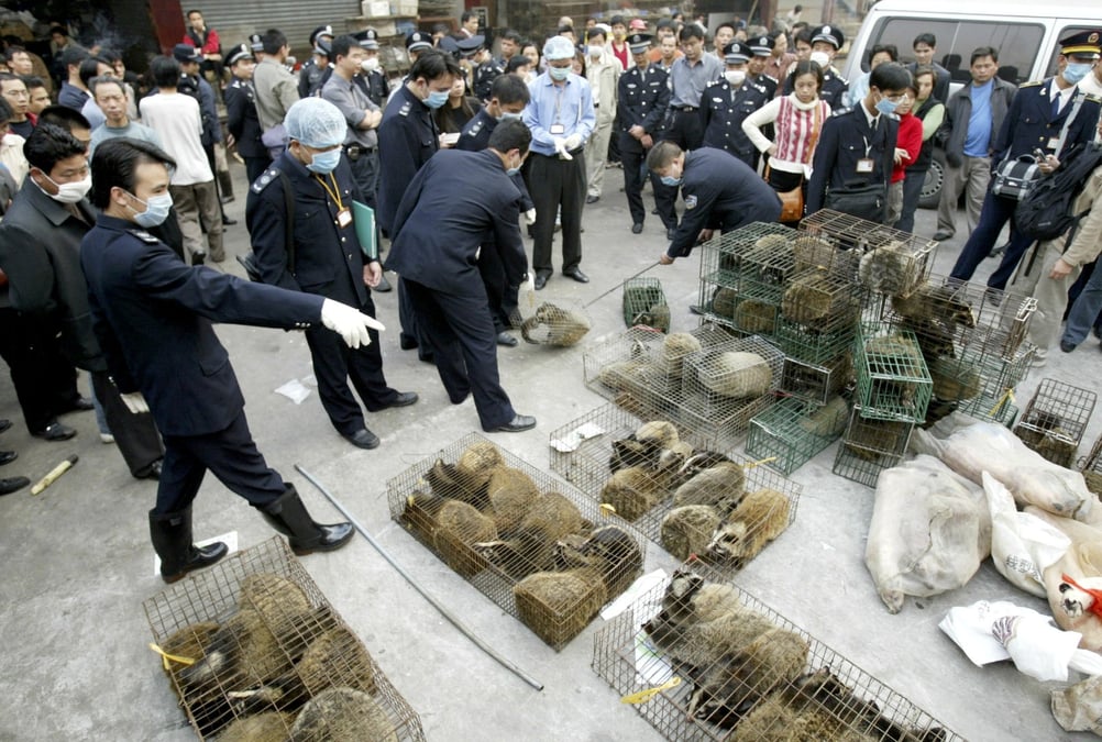 SARS, animaux sauvages, marché, Chine
