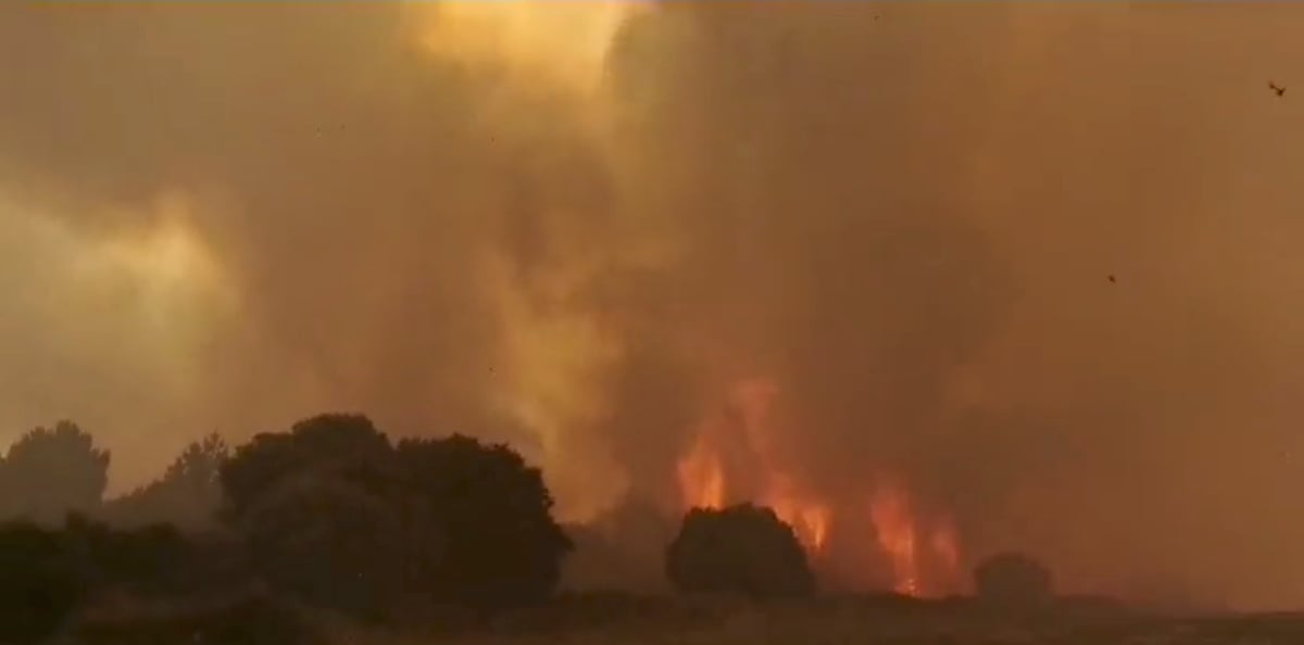 L'italie demande de l'aide pour affronter des incendies en sardaigne