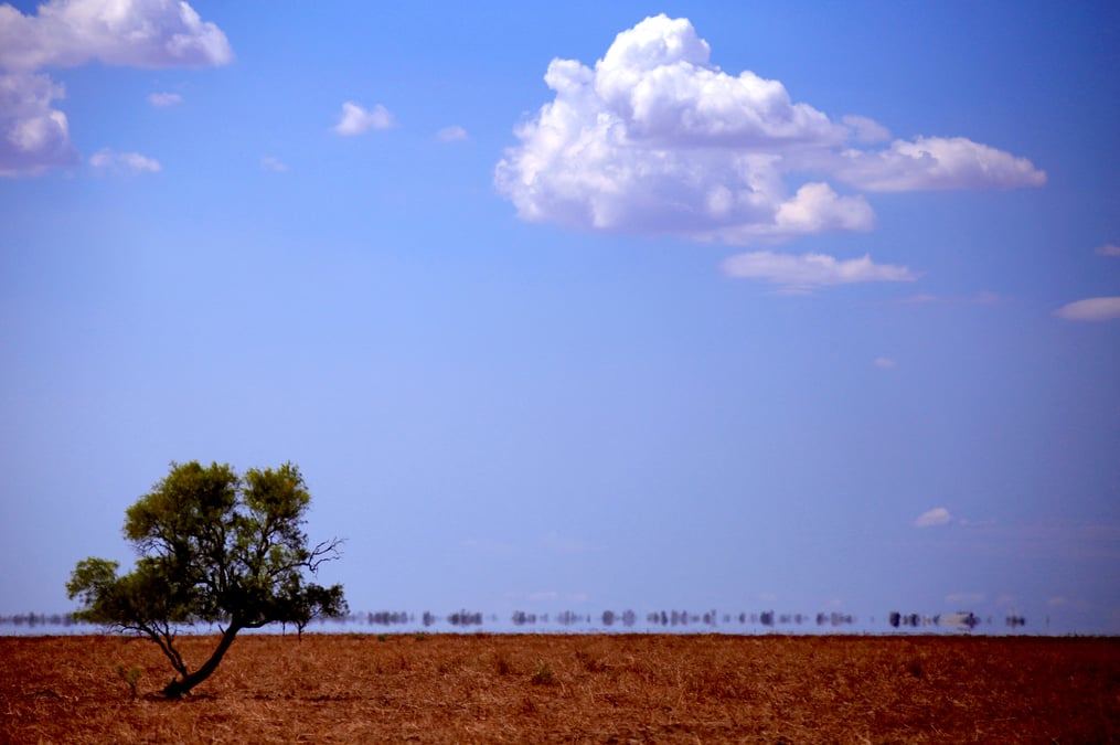 L'australie enregistre un record de temperature en 62 ans