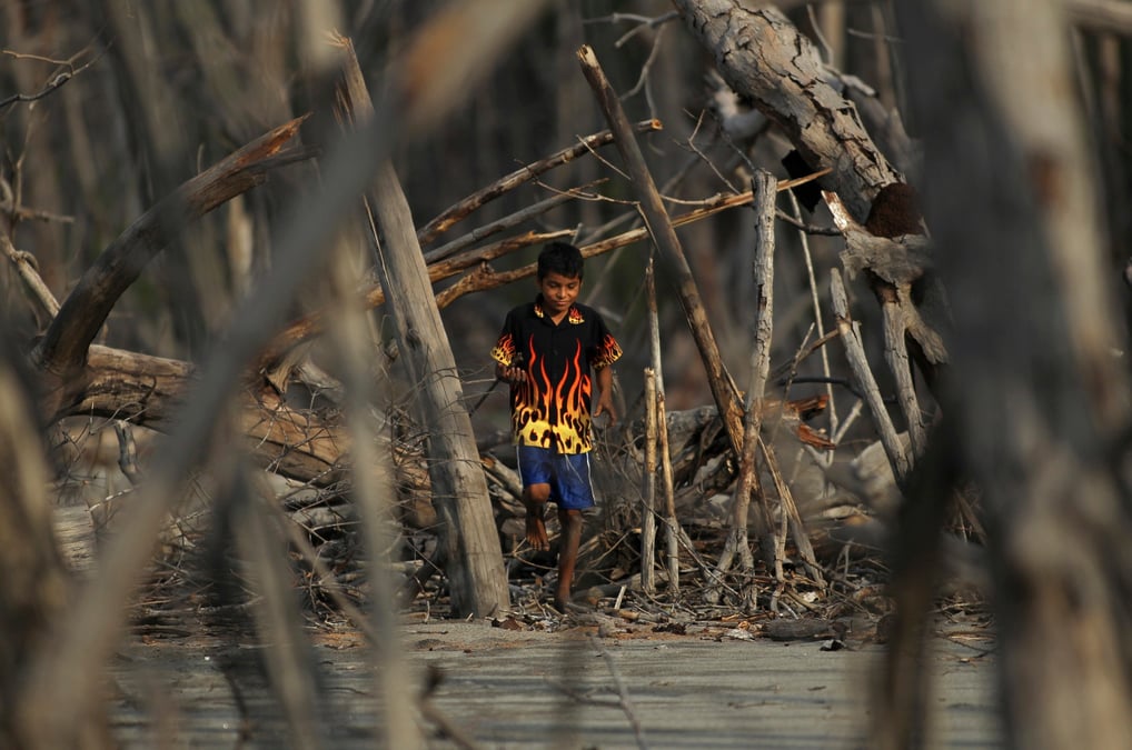 Un enfant marche parmi des arbres morts dans la petite communaute de la tirana