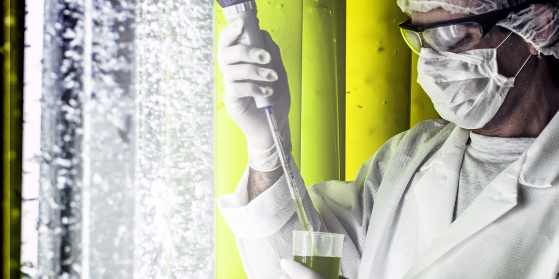 Filiale du groupe Greentech, Greensea a plus de trente ans d'expertise dans la transformation des microalgues en ingrédients actifs innovants pour les marchés de la cosmétique, de la santé, de la nutrition animale et de l'agronomie.