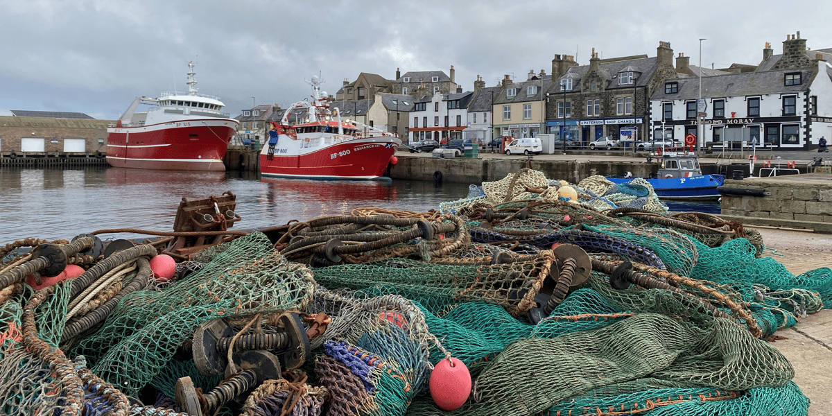 Les pecheurs ecossais renoncent a exporter dans l'ue pour cause de brexit