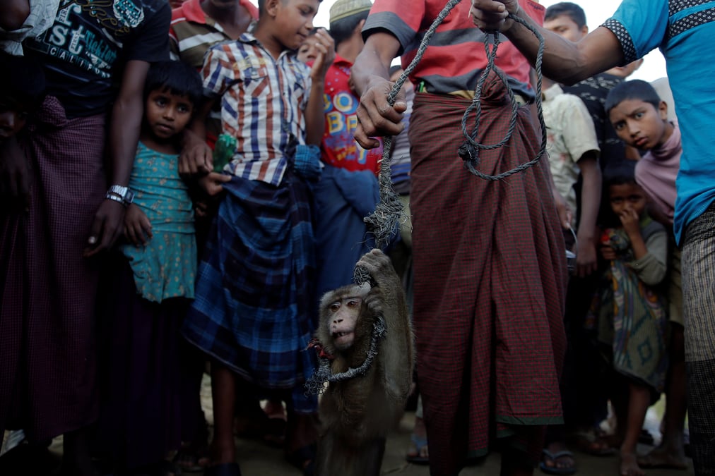 Une carte d'identite "blockchain" pour les rohingyas