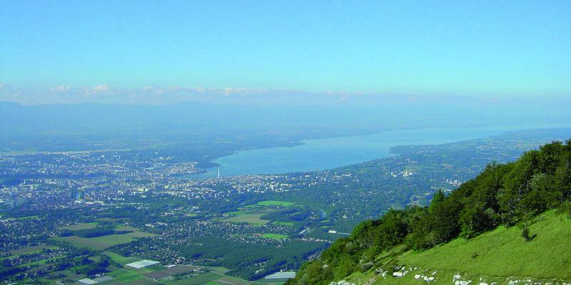 Genevois
